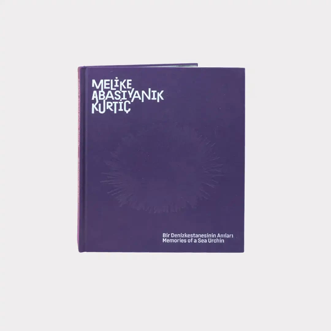 Bir Denizkestanesinin Anıları