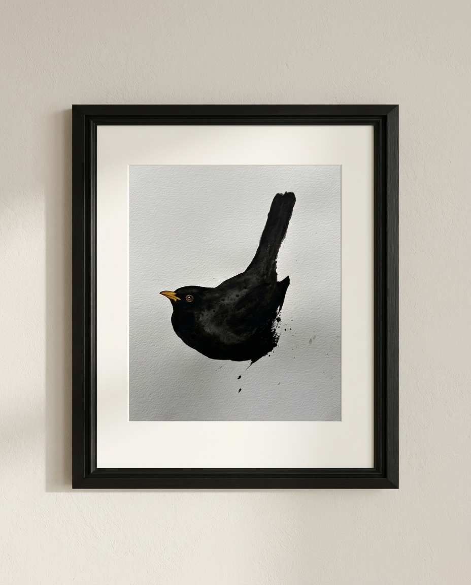 Turdus merula